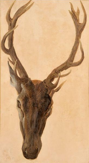Tête de cerf - vers 1725 - © Joconde - Francis Vidal - Senlis -Musée de la Vènerie